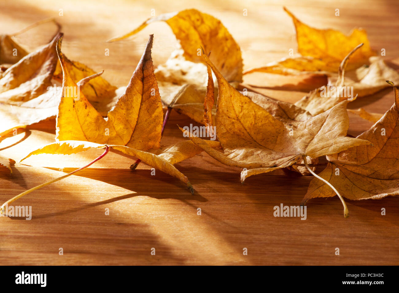 Autumn leaves on a wooden background Stock Photo