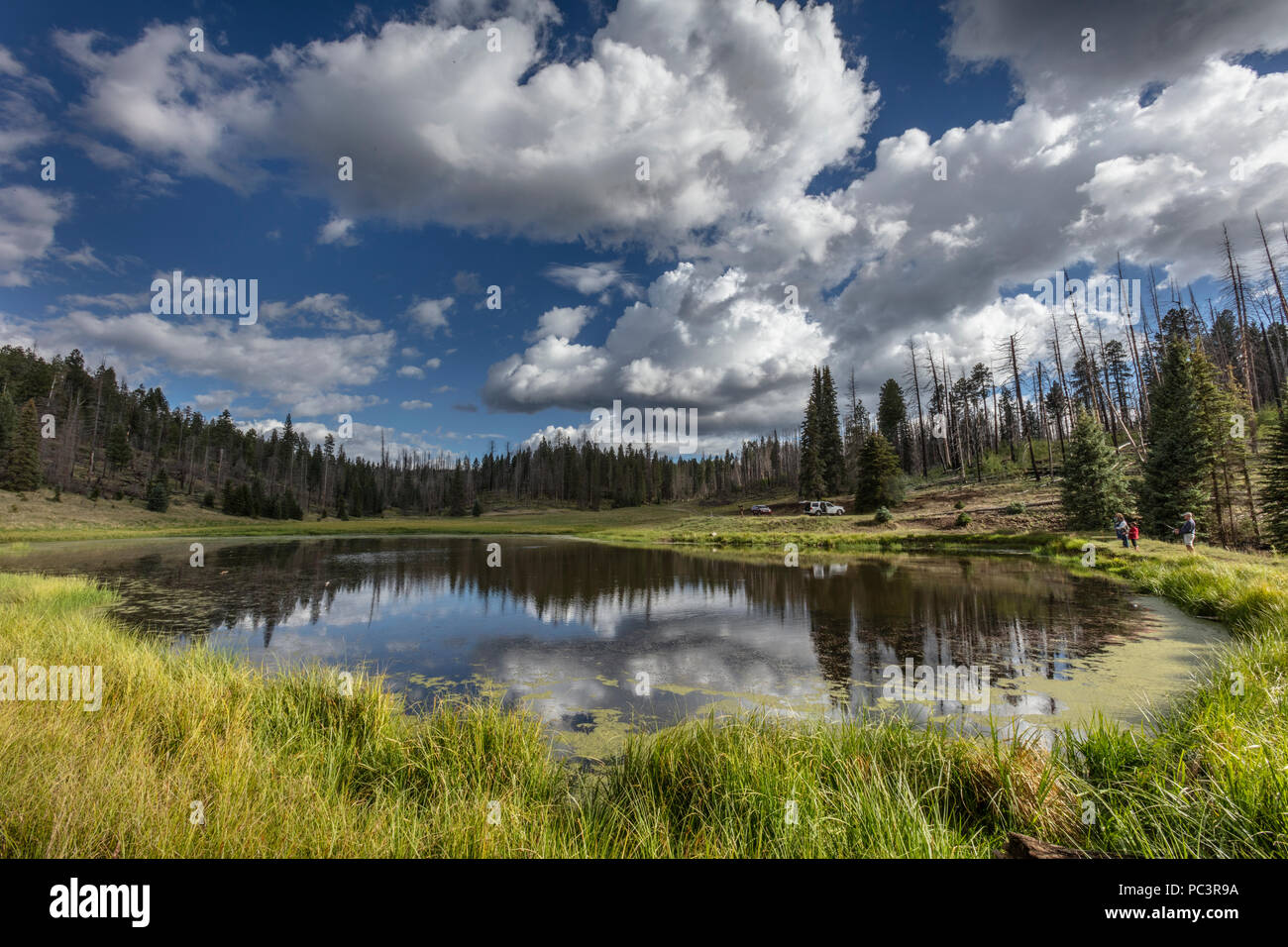Fishing at 9,000 ft., Aker Lake, ApacheSitgreaves National Forest
