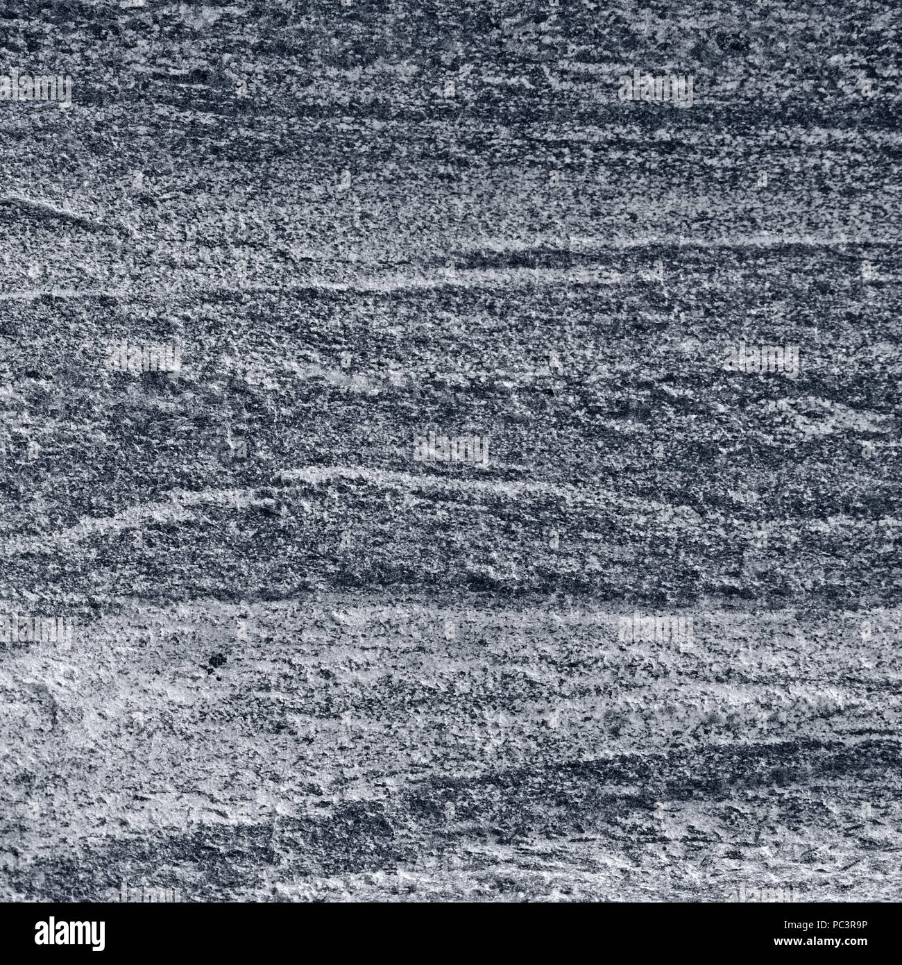 Migmatitic gneiss migmatite rock bands pattern, grey light dark banded granite texture macro closeup, large detailed textured silver gray horizontal Stock Photo