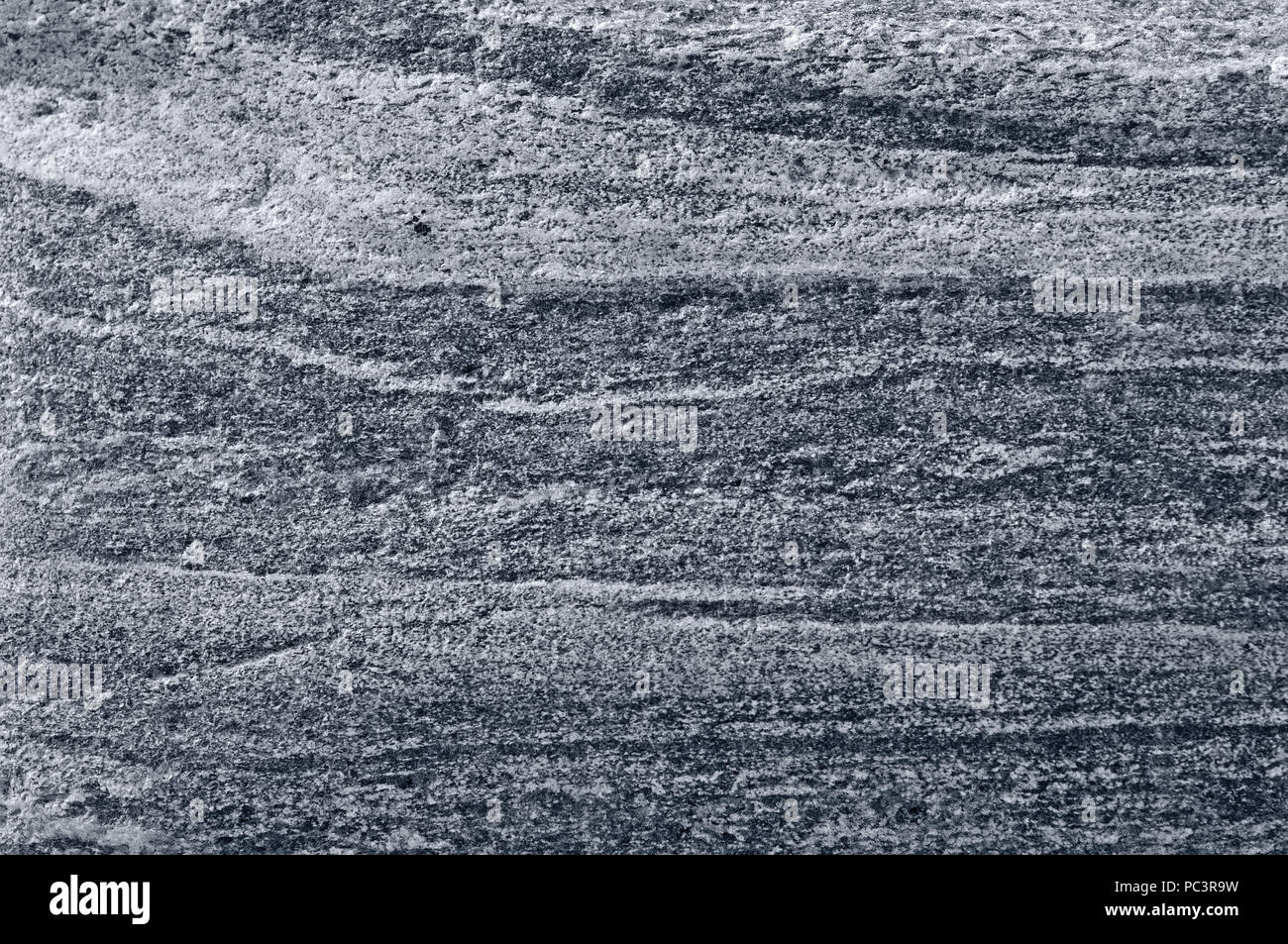 Migmatitic gneiss migmatite rock bands pattern, grey light dark banded granite texture macro closeup, large detailed textured silver gray horizontal Stock Photo
