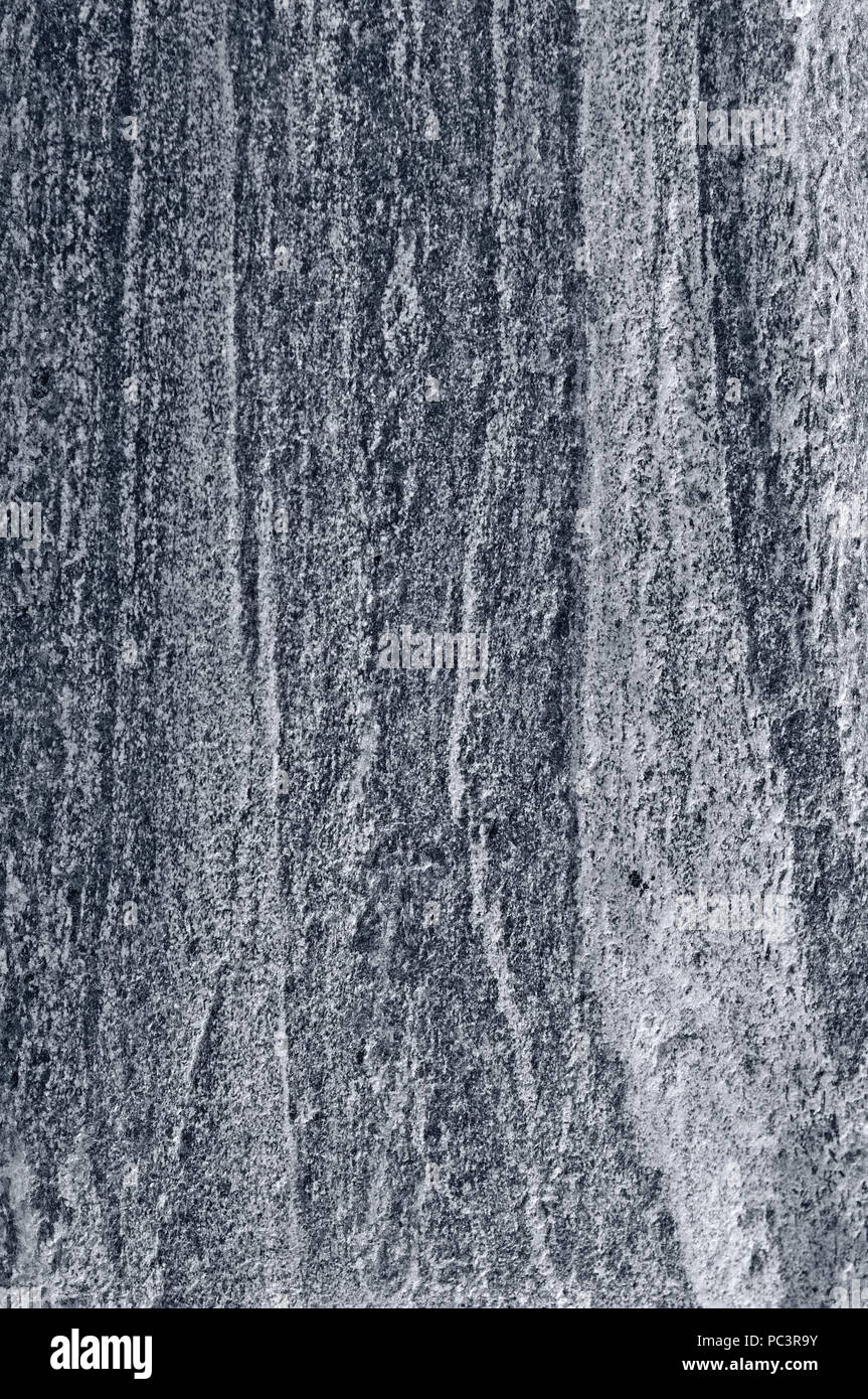 Migmatitic gneiss migmatite rock bands pattern, grey light dark banded granite texture macro closeup, large detailed textured silver gray vertical Stock Photo