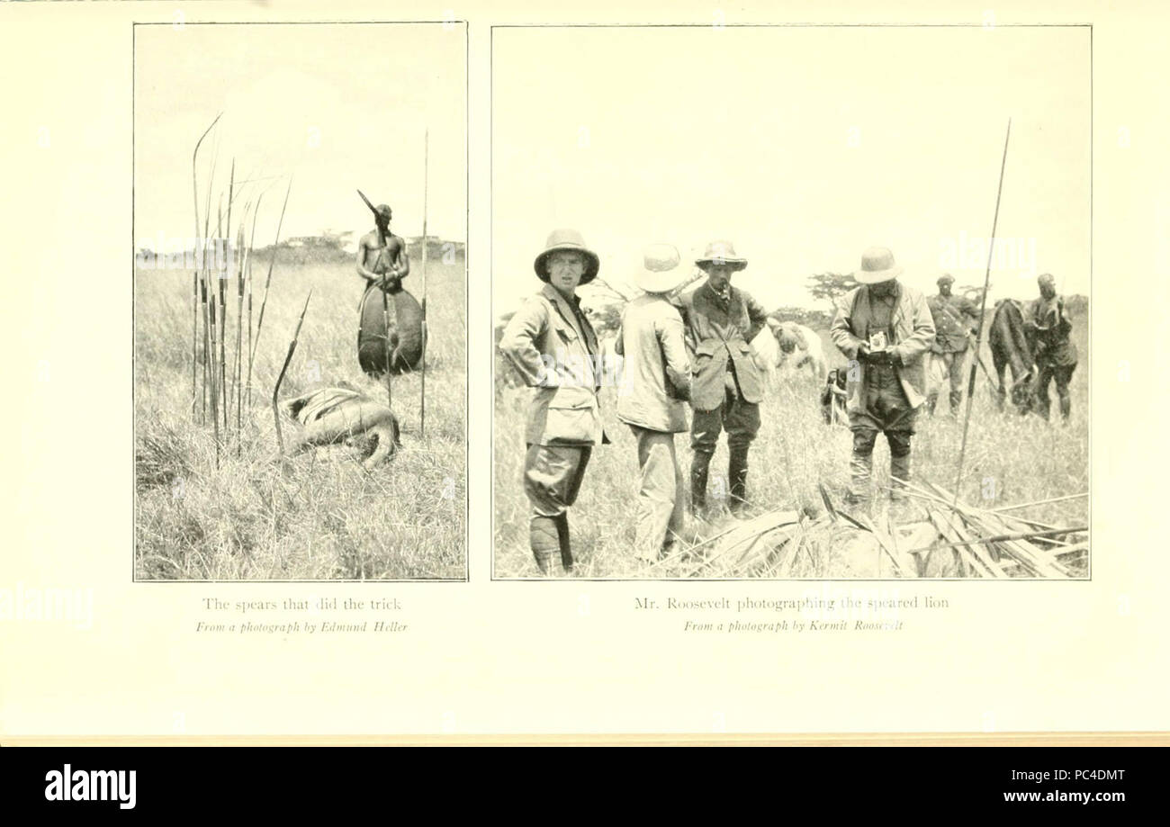 African game trails (Plate 33 Stock Photo Alamy