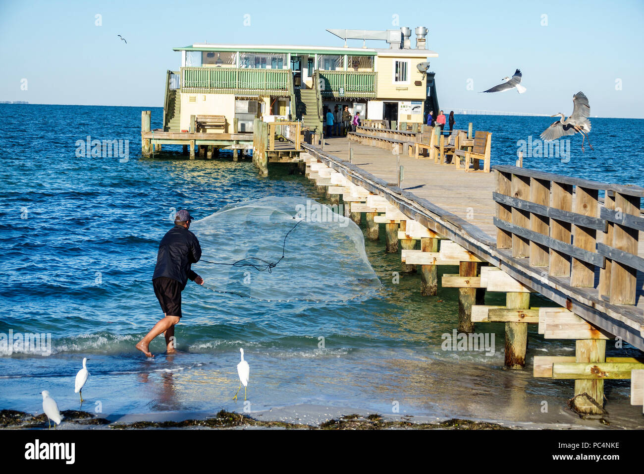Florida,Anna Maria Island,Anna Maria City Pier,Rod & Reel,restaurant restaurants food dining eating out cafe cafes bistro,wooden pier,adult adults man Stock Photo