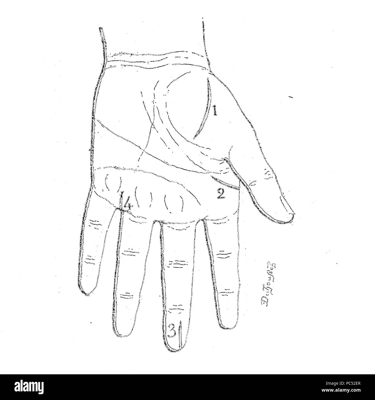 Bertillon System.drawing Police identification system hi-res stock photography and images - Alamy
