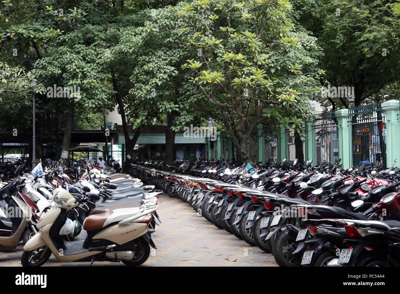 Scooters and motor cycles in a parking. Ho Chi Minh City. Vietnam