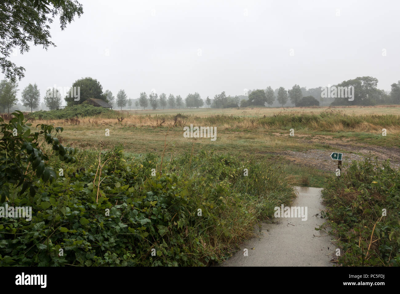 A blustery wet sunday morning in Spetisbury, Blandford Forum, Dorset, UK, 29 July 2018 Stock Photo