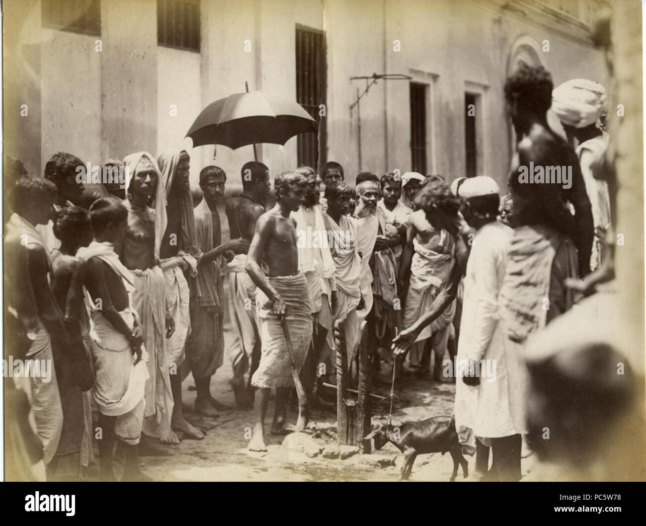 7 Animal sacrifice in India in the 1880s by Bourne and Shepherd Stock