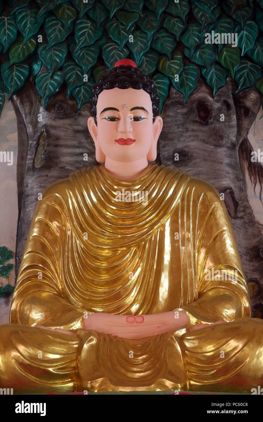 Chua Thiep Long buddhist pagoda. Sitting Buddha statue.  The meditation pose. Thay Ninh. Vietnam. | usage worldwide Stock Photo