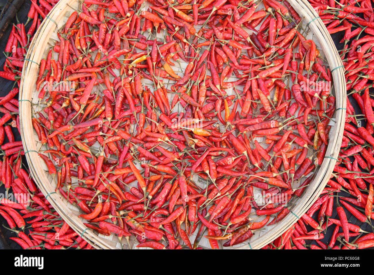 Red chili peppers. Hoi An. Vietnam. usage worldwide Stock Photo Alamy
