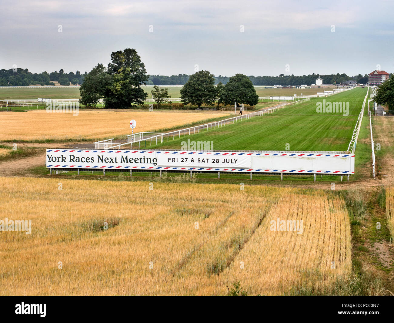 Ripening crops around the Knavesmire York Racecourse from Bishopthorpe Road City of York Yorkshire England Stock Photo