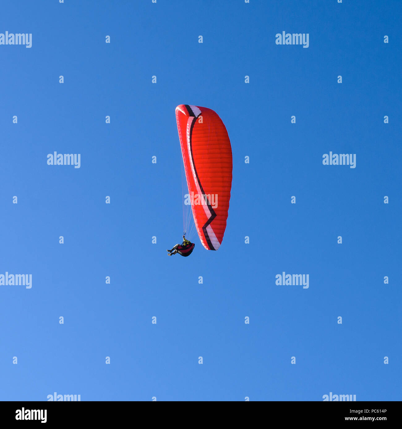 Paraglider against the sky. Stock Photo