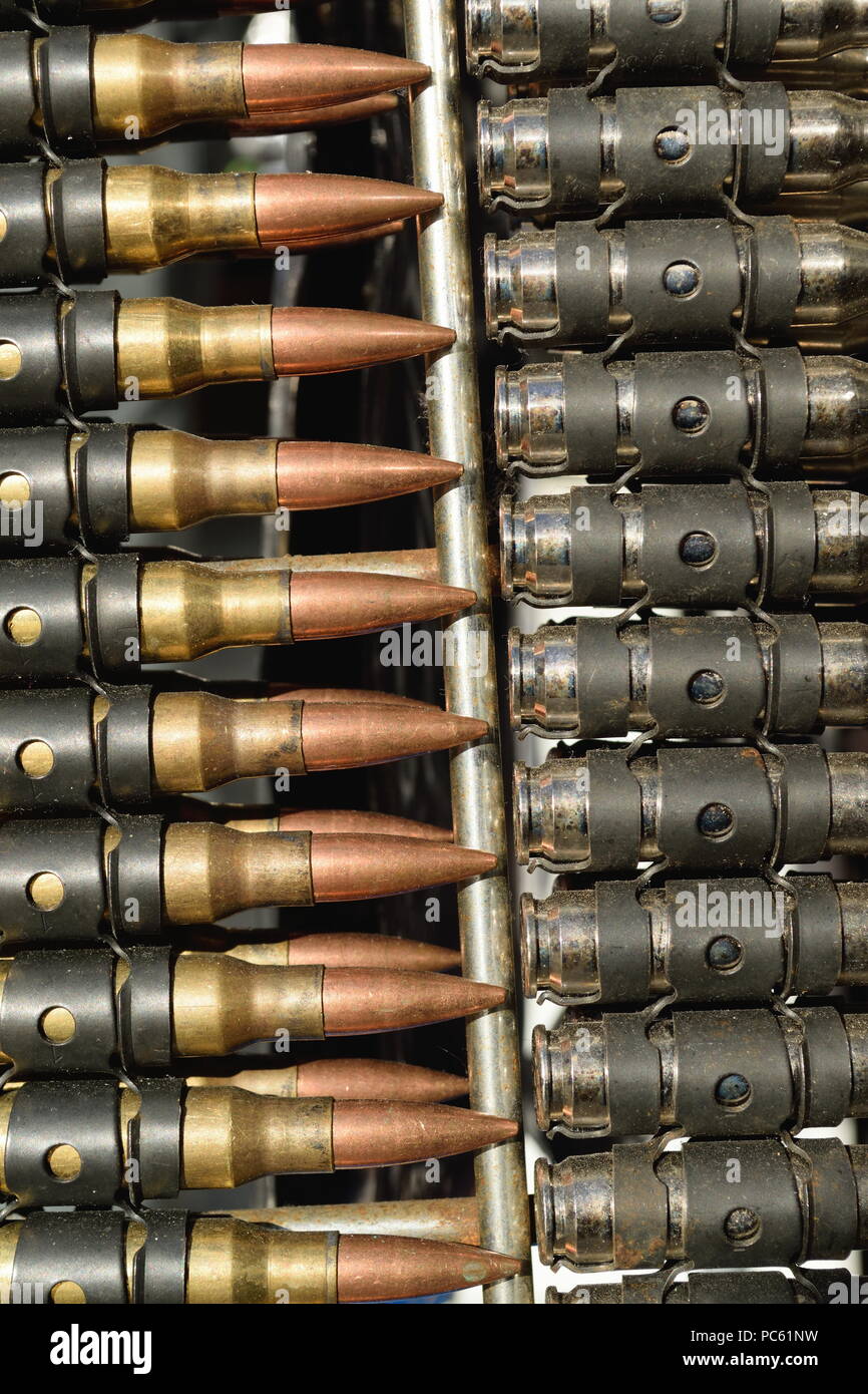 Detail of belt with bullets Stock Photo Alamy