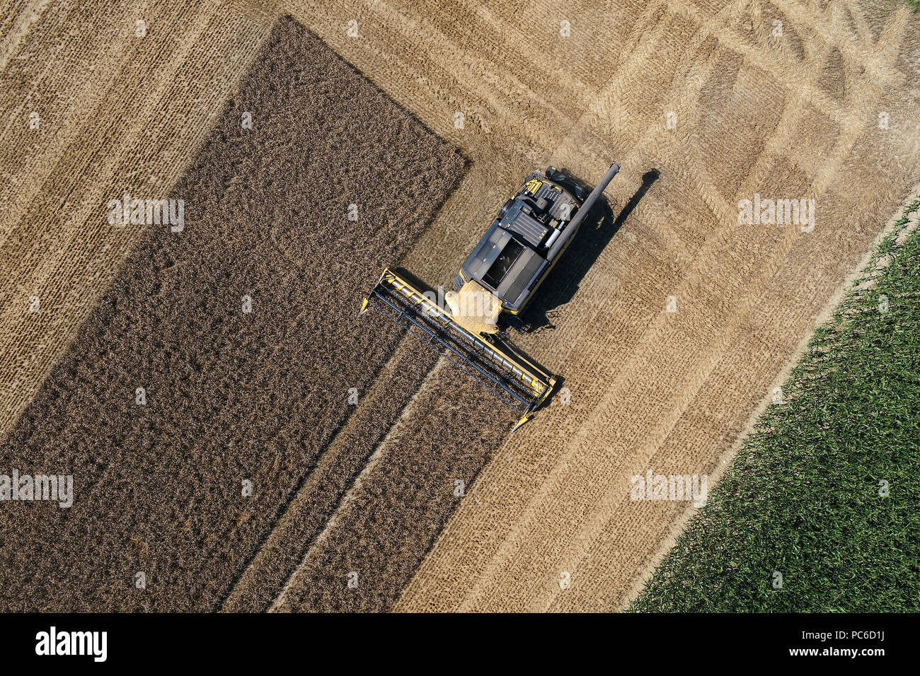 01 August 2018, Ebersbach-Musbach, Germany: A combine harvester mows a wheat field. (shot taken with a drone) Photo: Felix Kästle/dpa Stock Photo