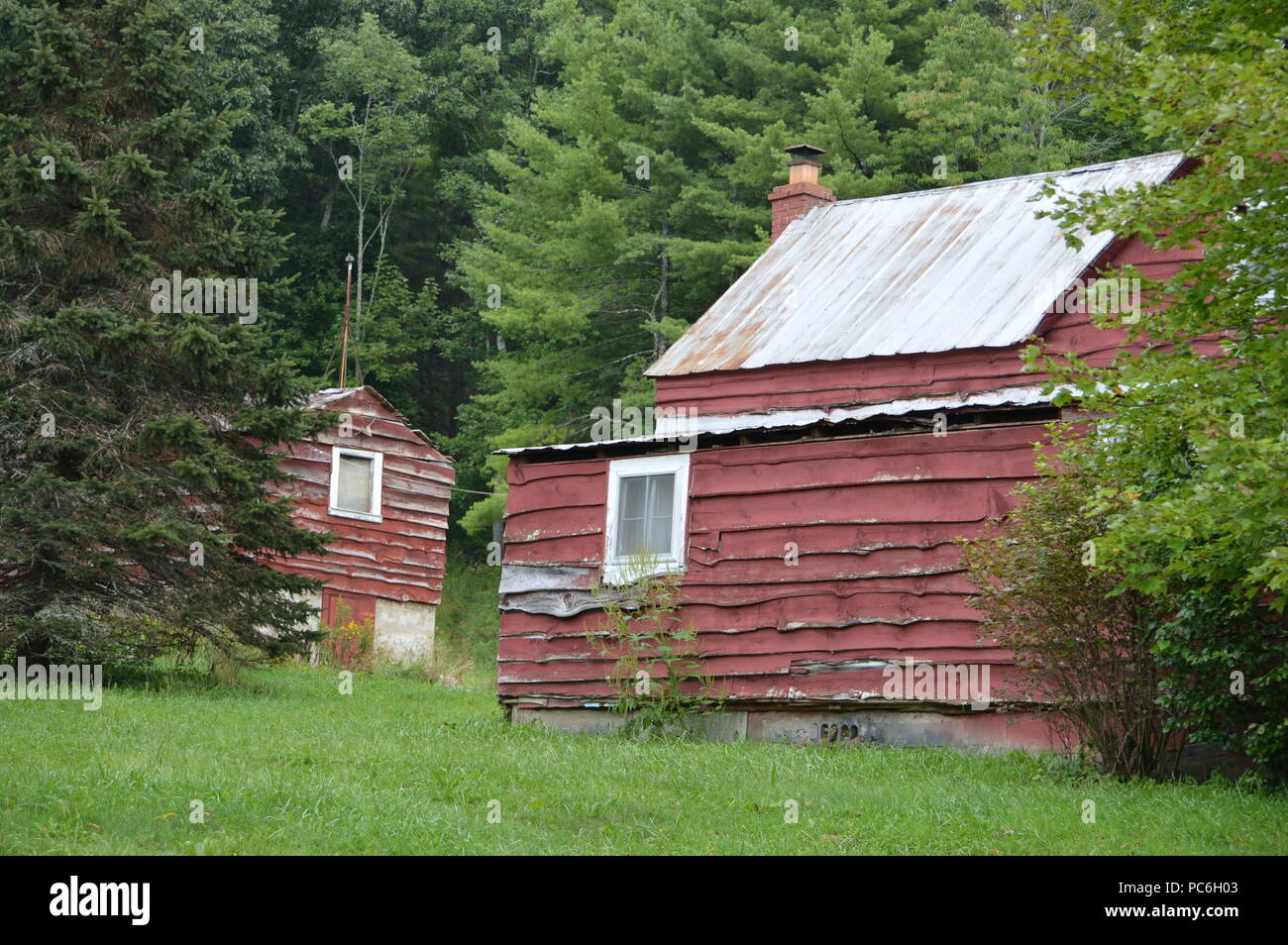 Rustic Red House With Old Tin Roof on Green Grassy Hill Surrounded by