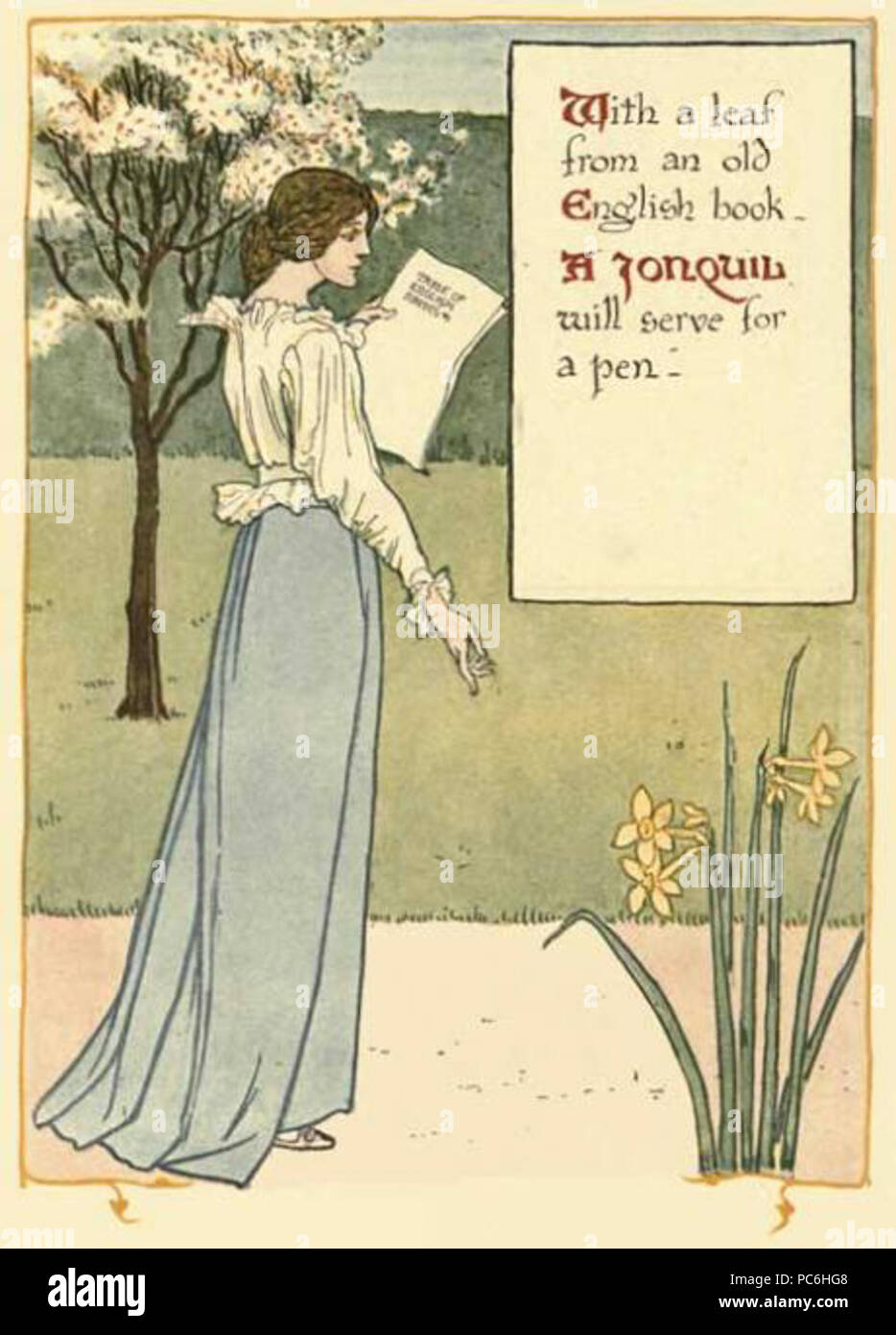 Jonquils hires stock photography and images Alamy