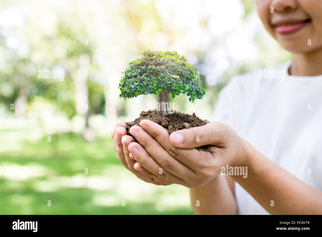 World environment day and save environment concept, volunteer women holding small plant growing, sapling Stock Photo