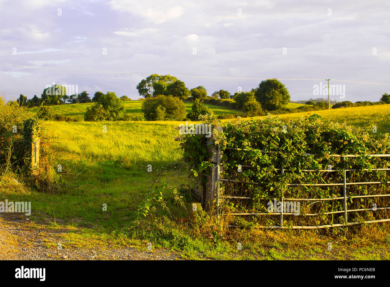 Galvanised farm gate hires stock photography and images Alamy