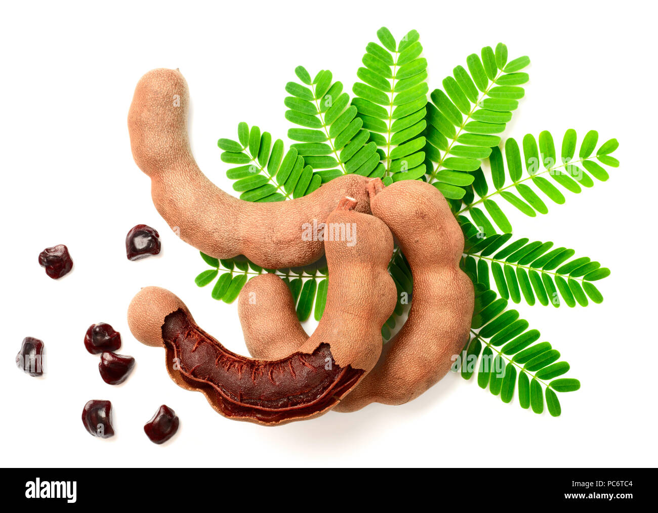 fresh tamarind fruits and leaves isolated on white background Stock
