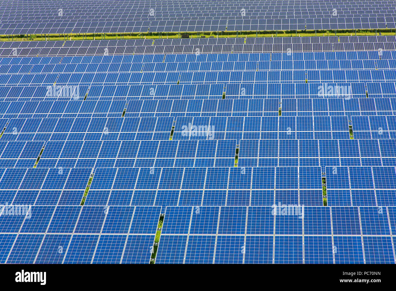 Large field with blue solar collectors in Holland Stock Photo