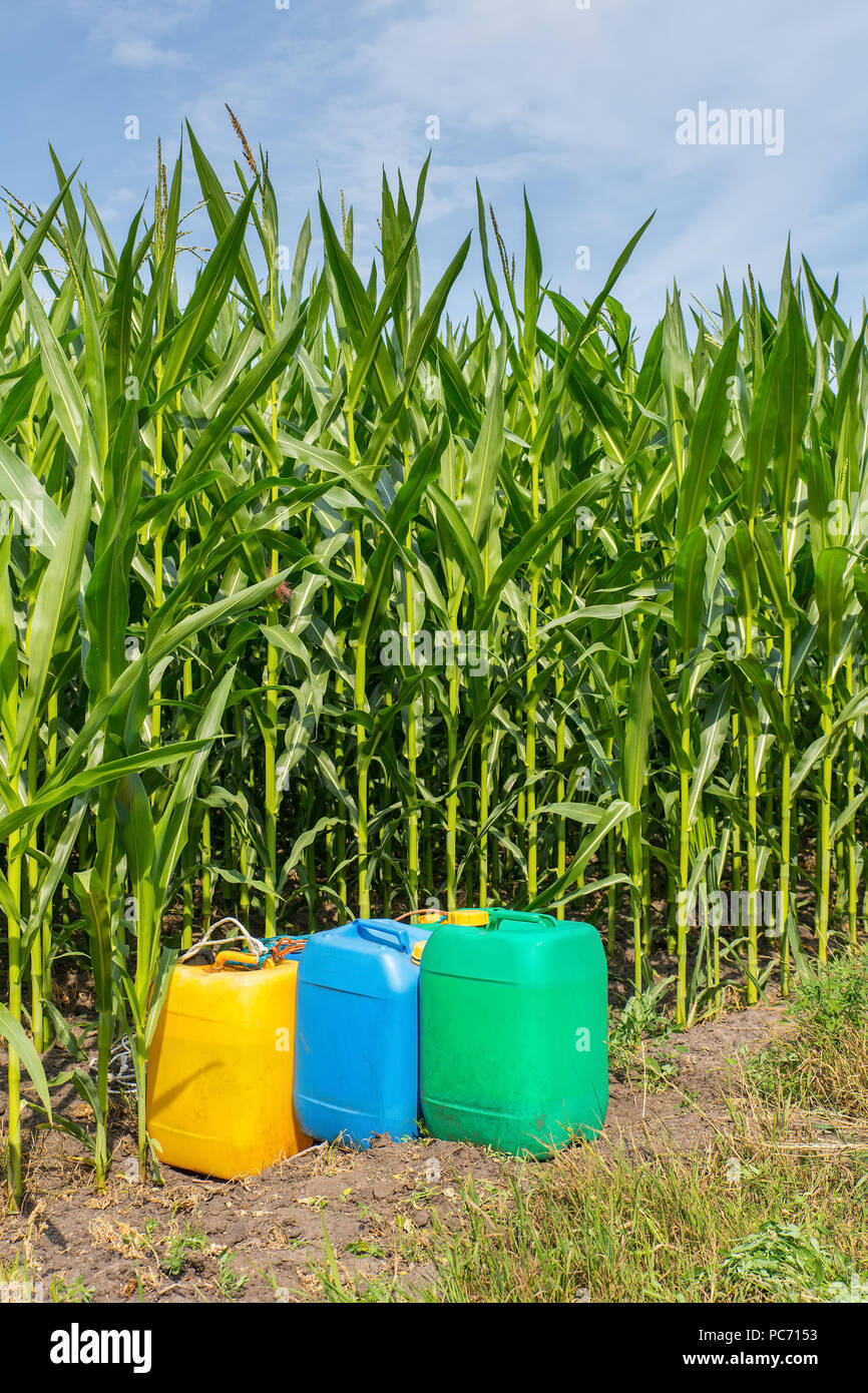 Pesticides in colored jerry cans at field with corn plants Stock Photo