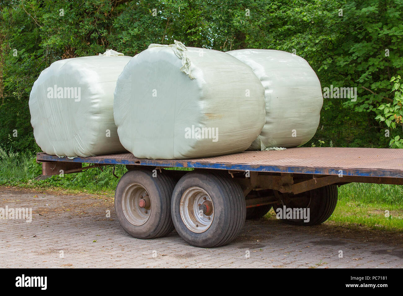Semitrailer with plastified green hay rolls Stock Photo