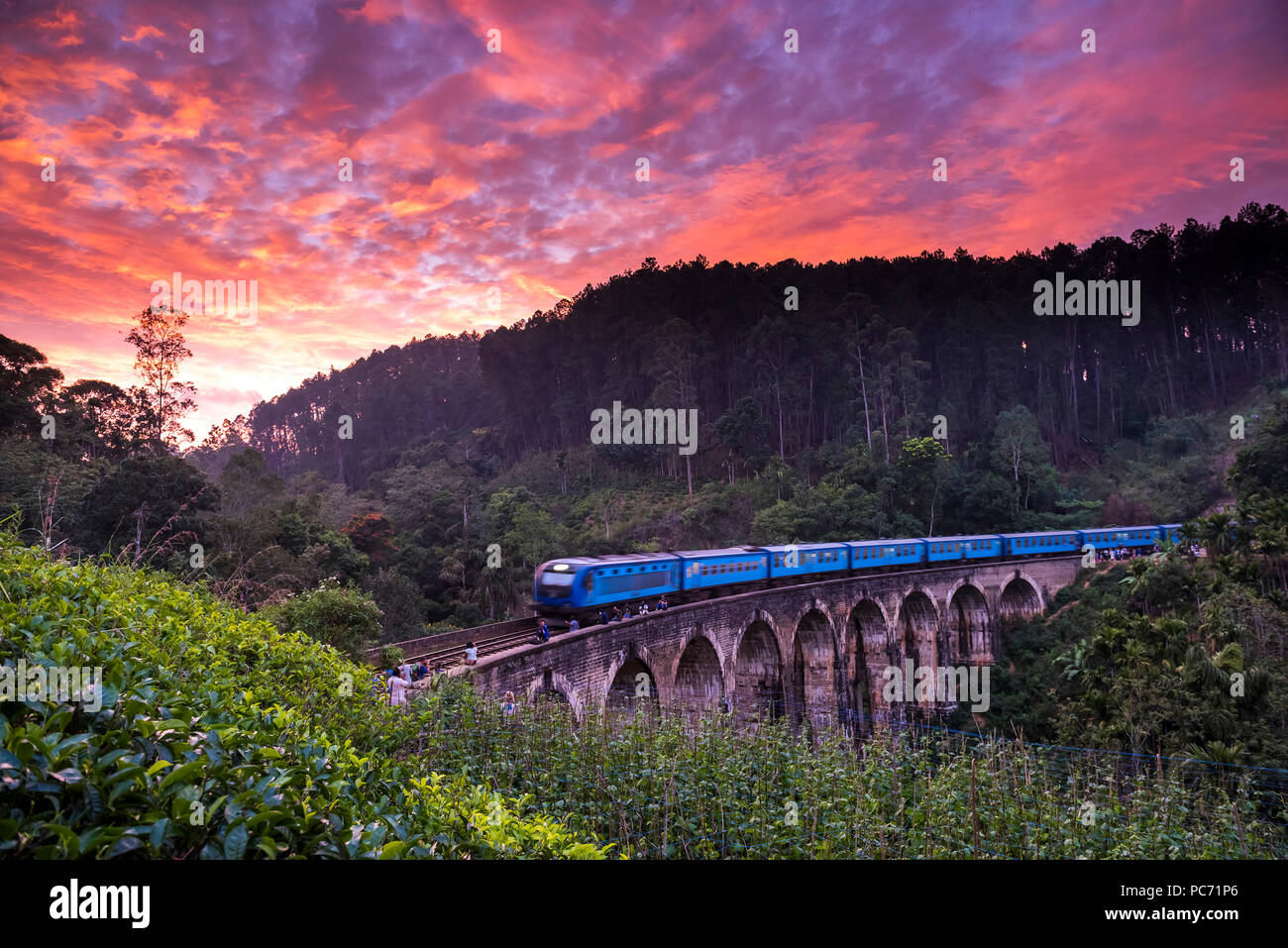 Scenic train ride in Sri Lanka Stock Photo Alamy