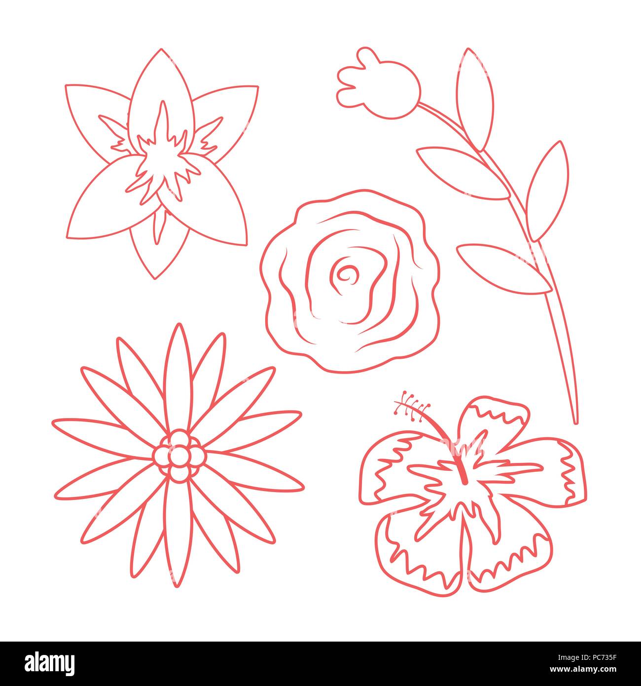 Leaves and flowers Stock Vector Image & Art - Alamy
