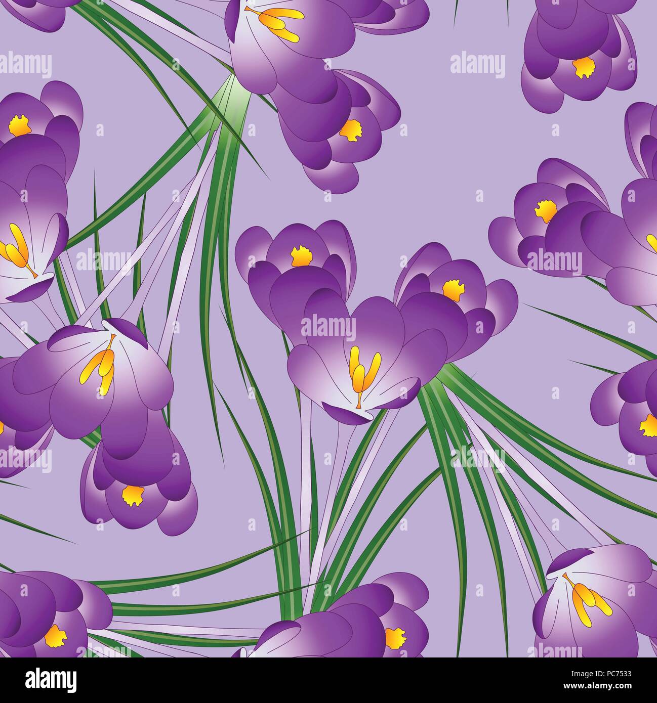 Purple Crocus Flower on Light Violet Background. Vector Illustration. Stock Vector