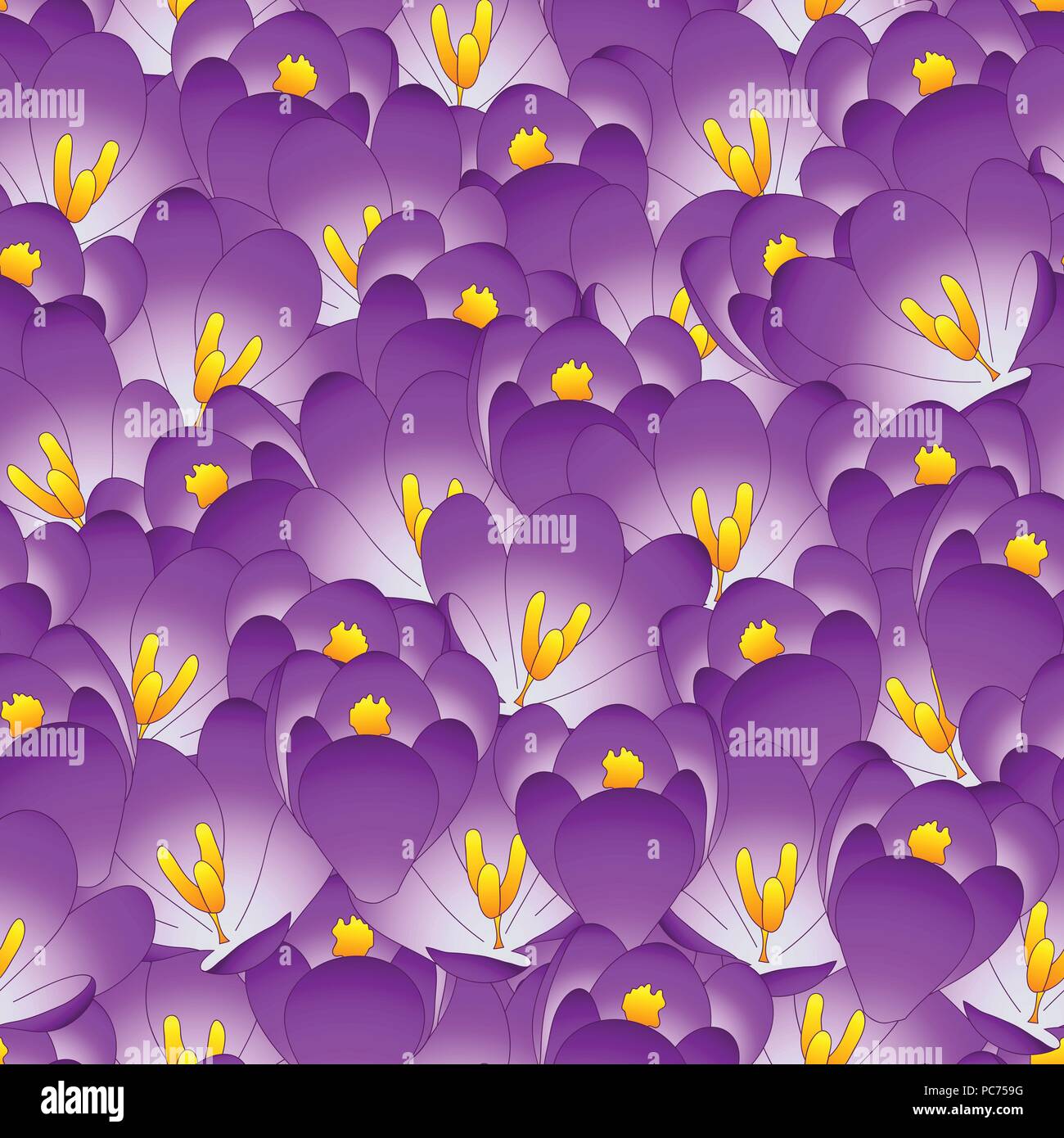 Purple Crocus Flower Seamless Background. Vector Illustration. Stock Vector