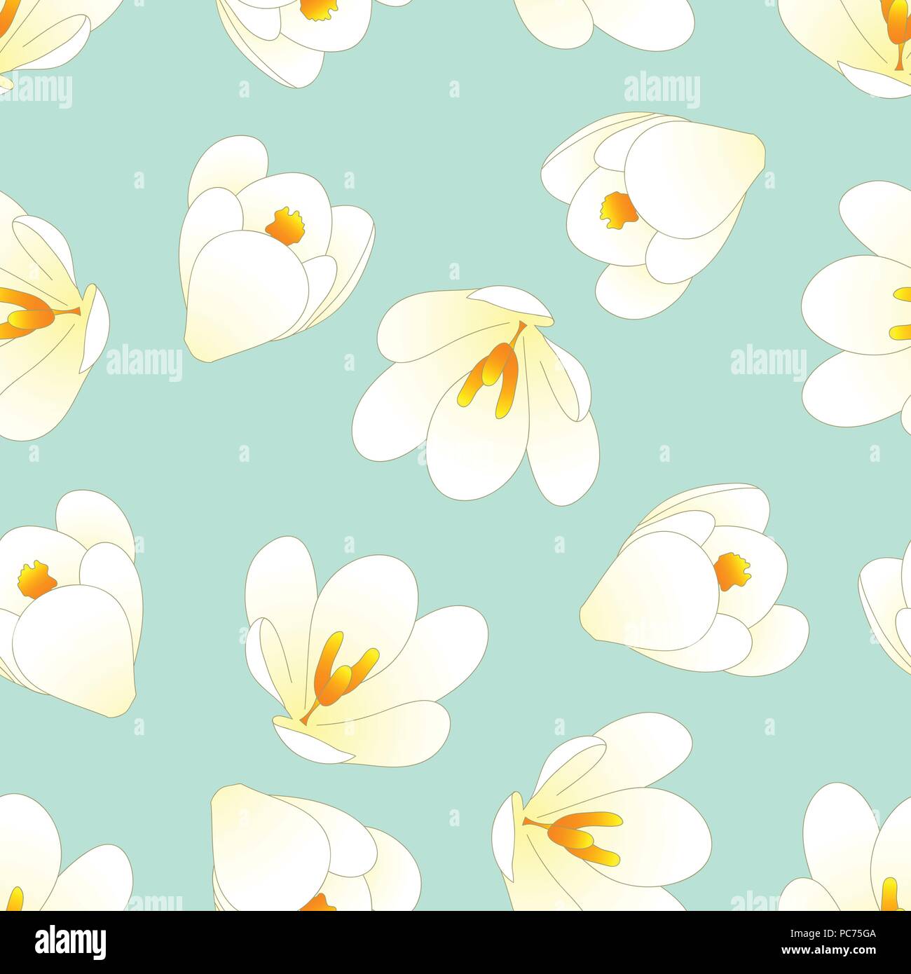 White Crocus Flower on Green Mint Background. Vector Illustration. Stock Vector