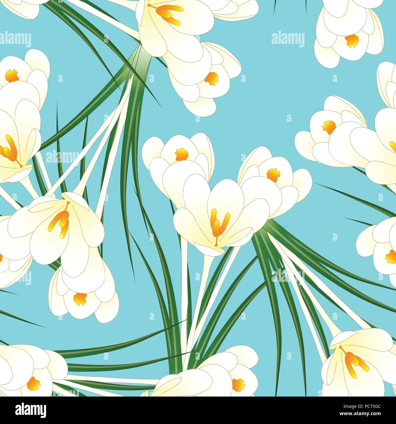 White Crocus Flower on Light Blue Background. Vector Illustration. Stock Vector