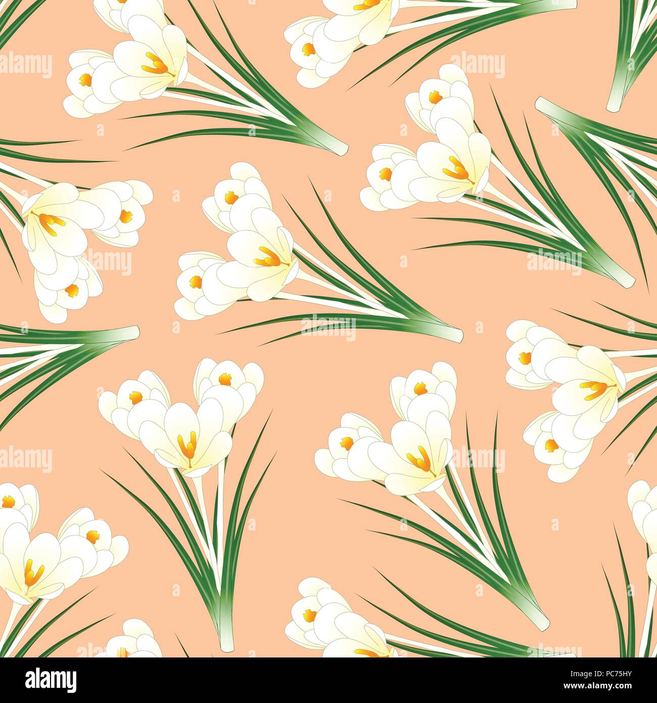 White Crocus Flower on Light Orange Background. Vector Illustration. Stock Vector