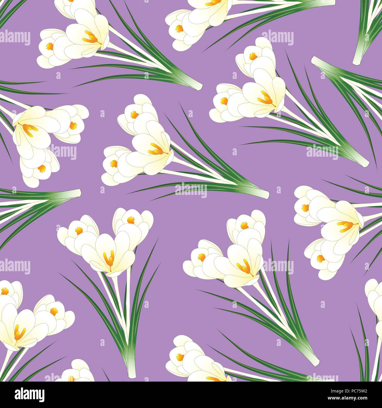White Crocus Flower on Light Purple Background. Vector Illustration. Stock Vector