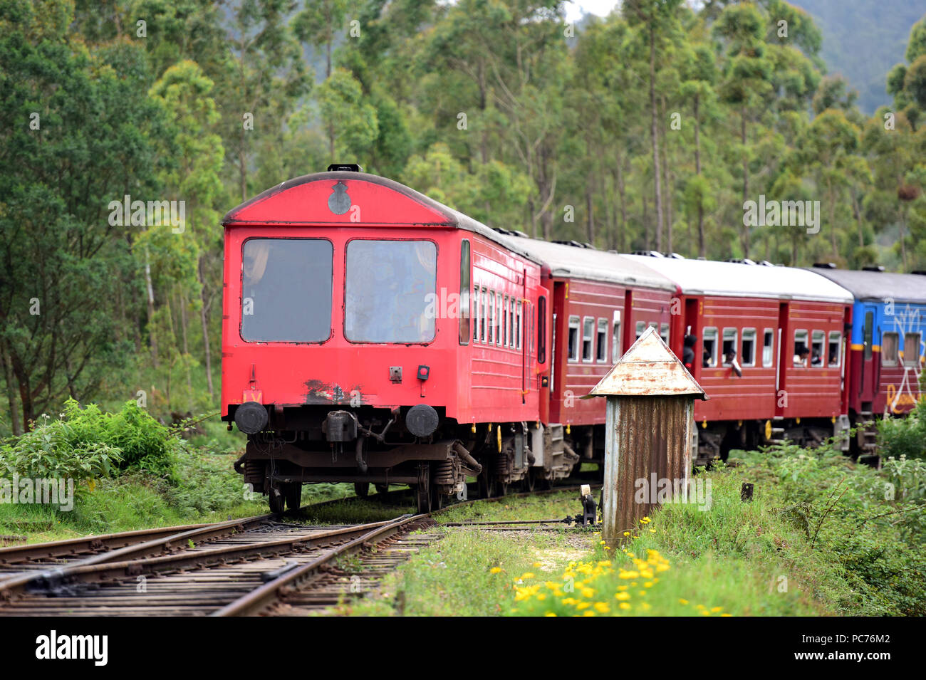 Scenic train ride in Sri Lanka Stock Photo Alamy