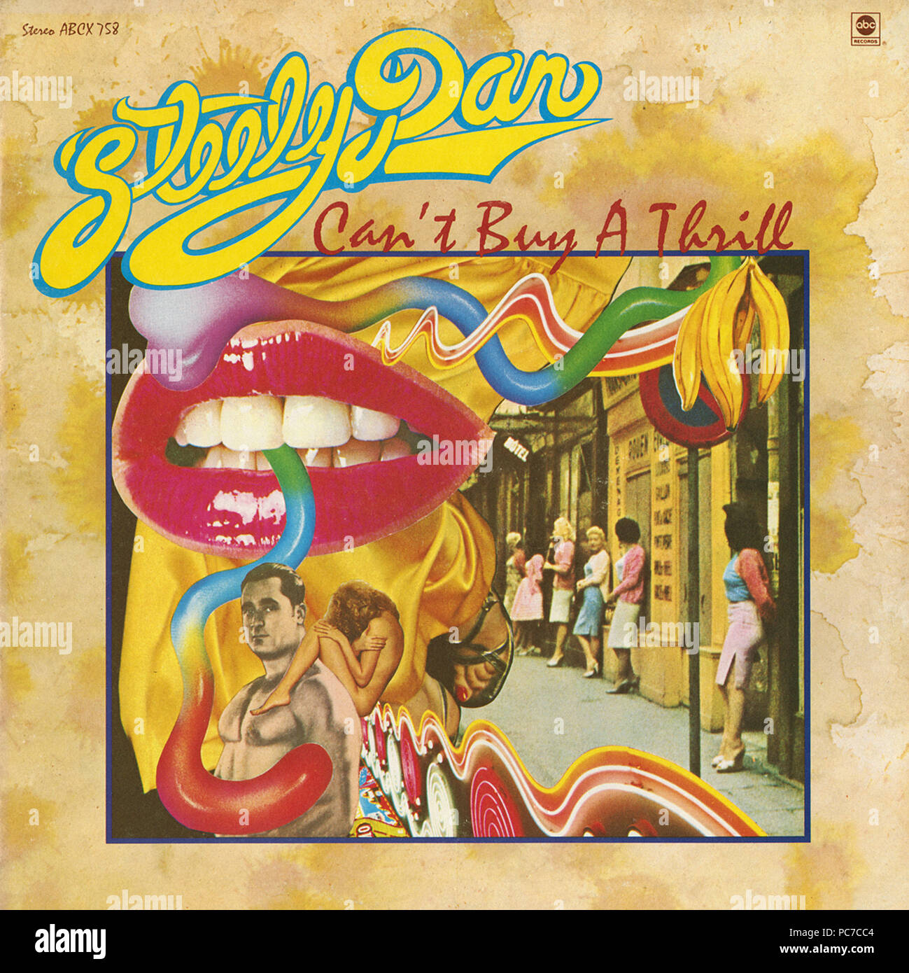 Steely Dan Can’t Buy a Thrill vintage vinyl cover