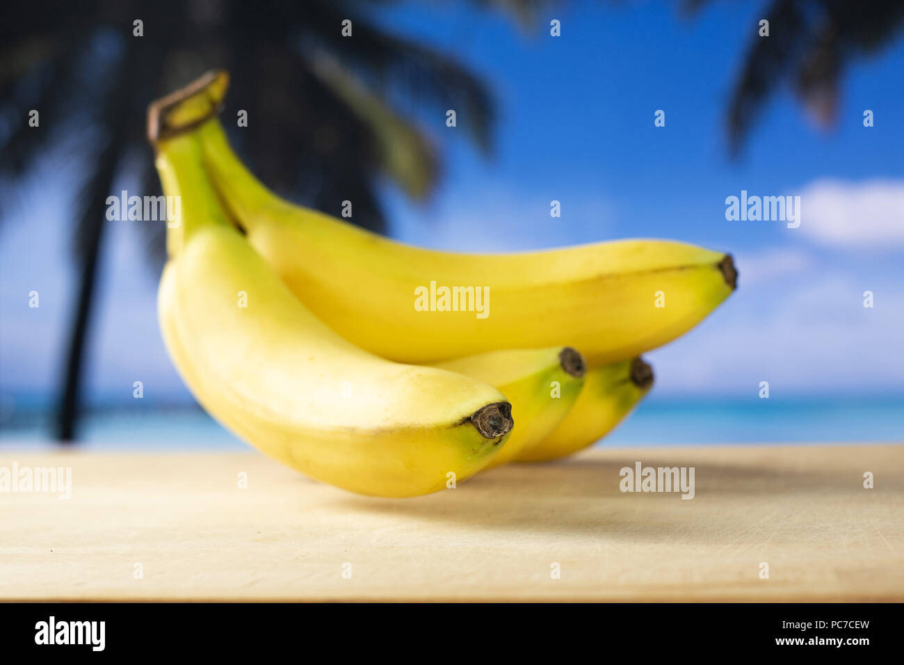 Five Photographs Of Banana In Seach Of >> Group Of Five Whole Fresh Yellow Banana One Cluster With Palm Trees Five Photographs Of Banana In Seach Of >> Group Of Five Whole Fresh Yellow Banana One Cluster With Palm Trees