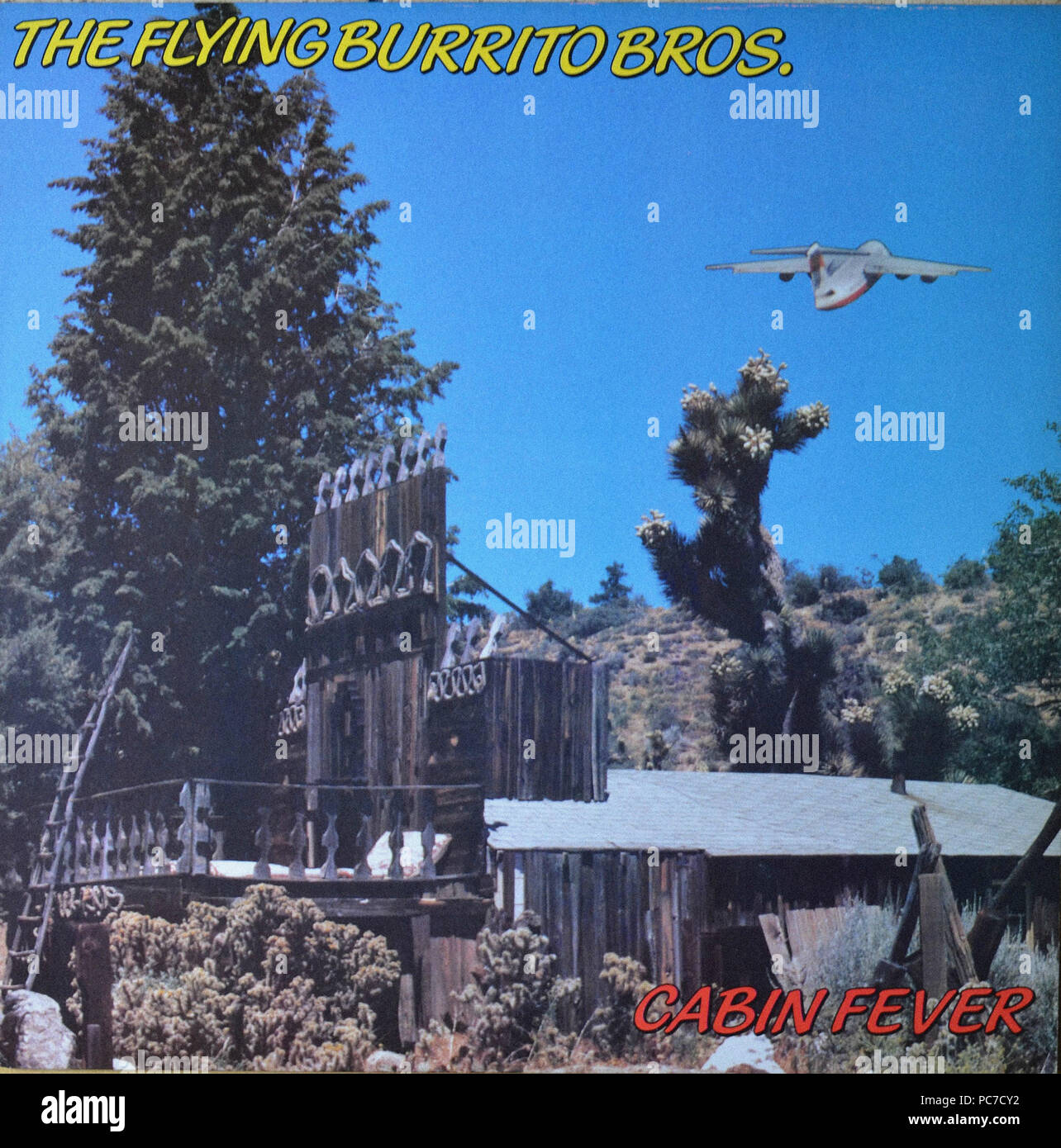 The Flying Burrito Brothers Cabin Fever Vintage Vinyl Album