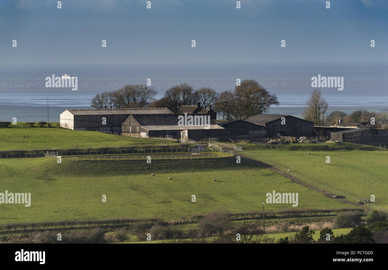 View of a farm near the coast, near Garstang, Lancashire, England ...