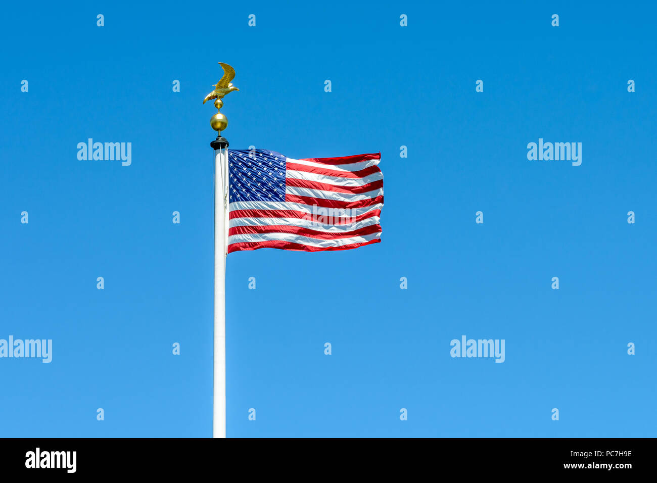 The flag of the United States of America blowing in the wind at full-mast on a white pole topped with a golden eagle on ball against blue sky. Stock Photo
