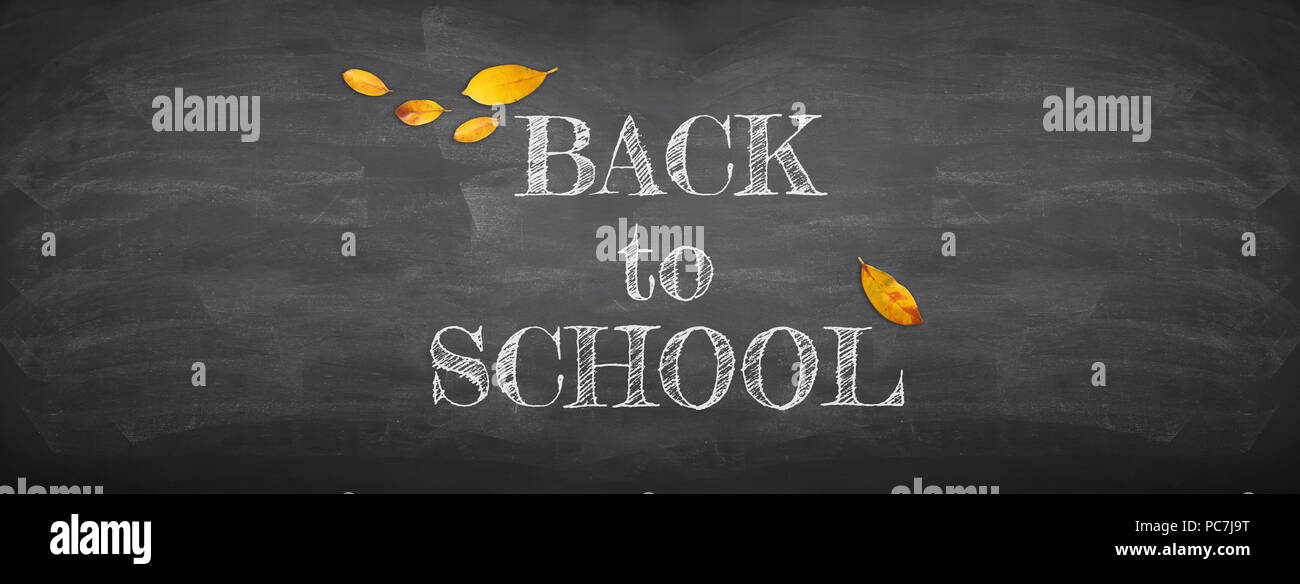 Top view banner of text sketch BACK TO SCHOOL with autumn gold dry ...