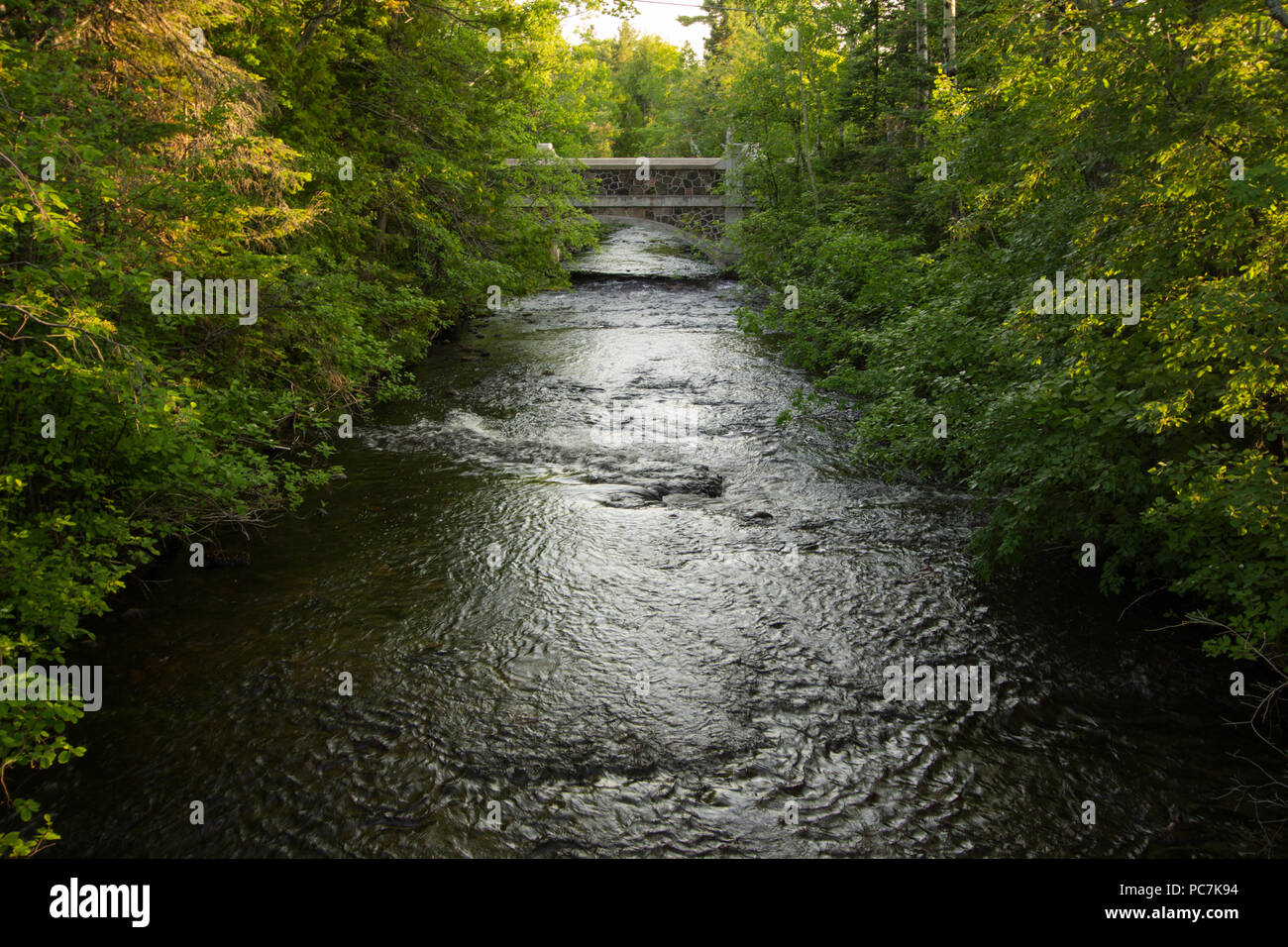 Forest River Nature Background. River flows through the lush north woods of Michigan. Fort Wilkins State Park, Copper Harbor, Michigan Stock Photo