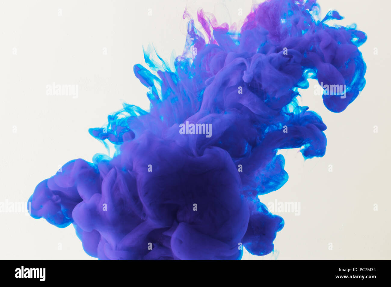 abstract design with flowing blue and purple paint in water, isolated ...