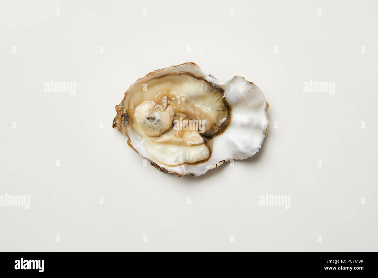 Open fresh oyster clam isolated on white Stock Photo Alamy
