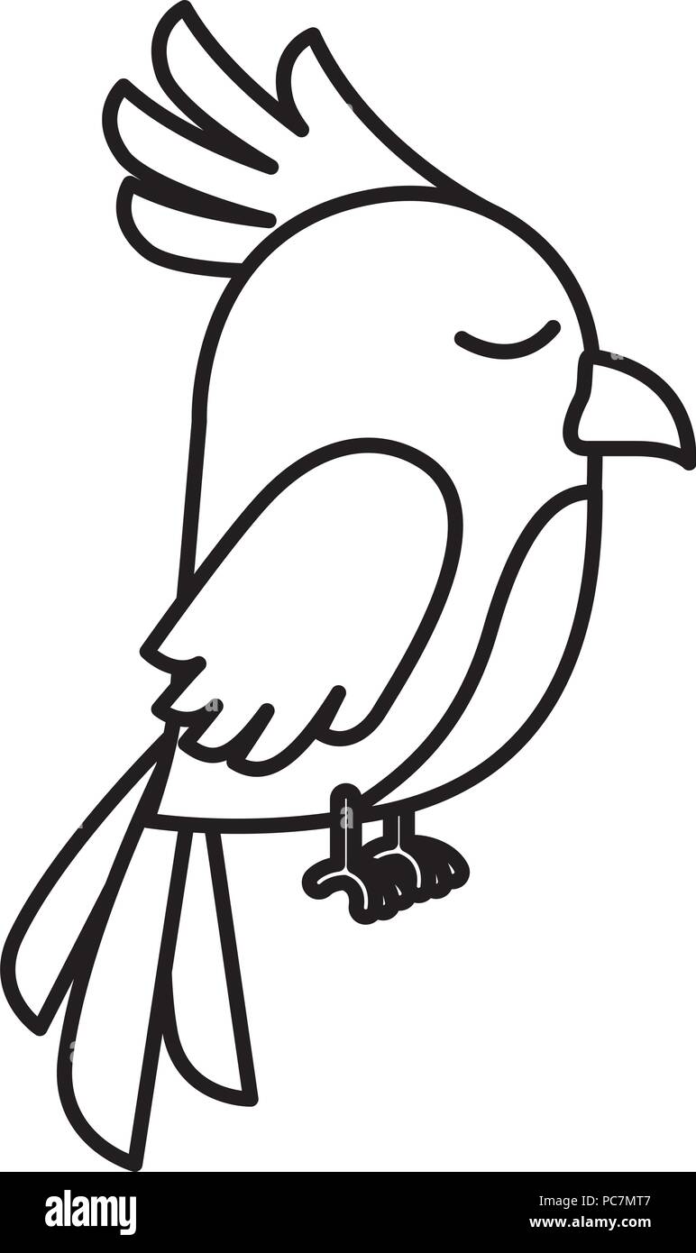 cute bird isolated icon Stock Vector Image & Art - Alamy