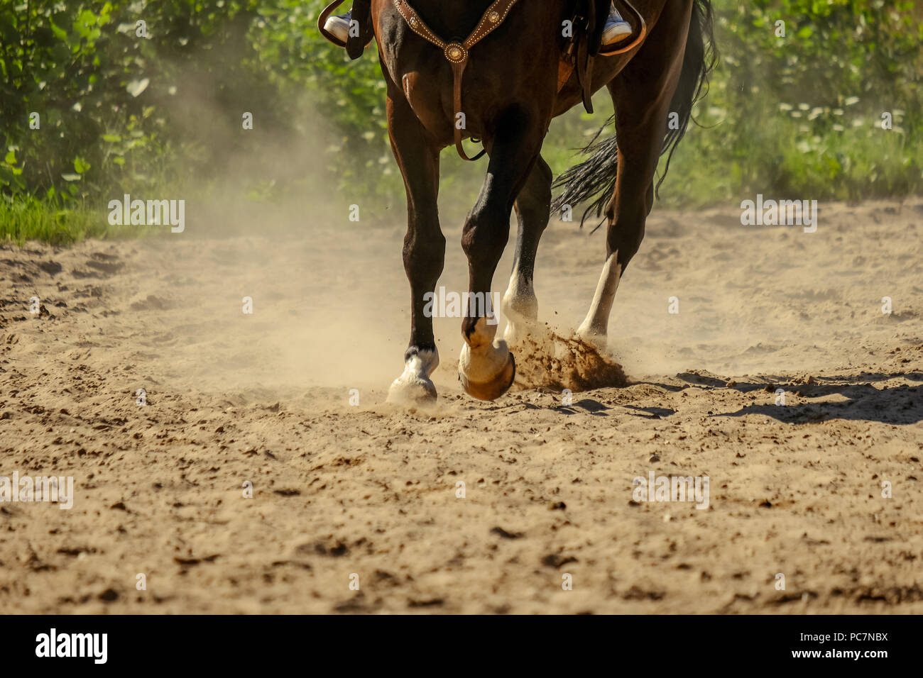 Horse Feet High Resolution Stock Photography and Images Alamy