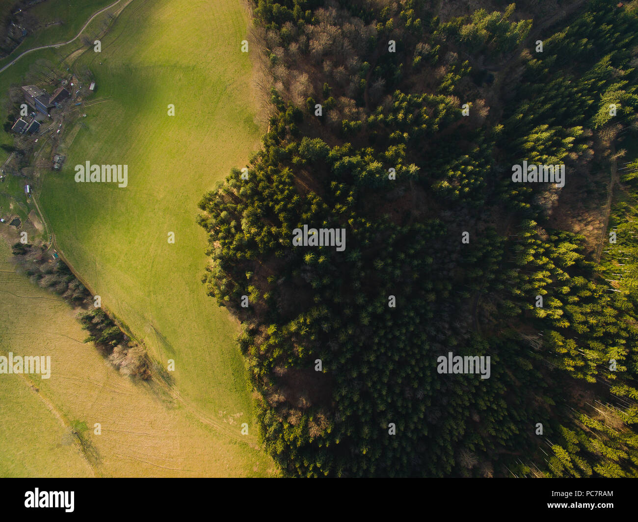 Aerial view of green field and forest, Germany Stock Photo - Alamy