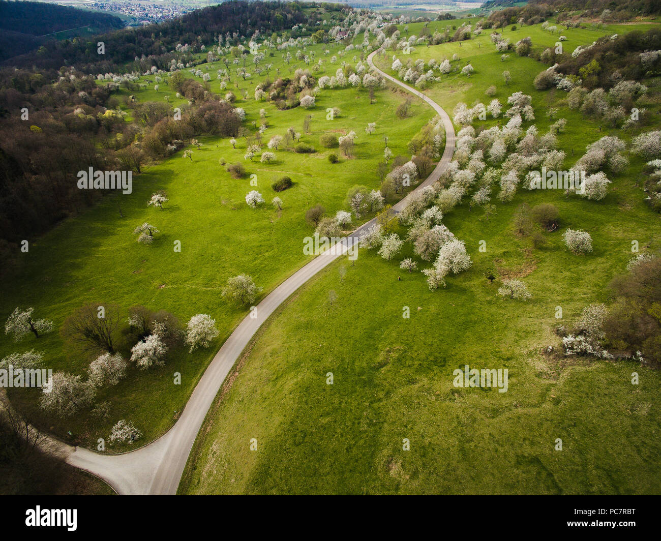 Aerial view of green hills with trees and road, Germany Stock Photo - Alamy