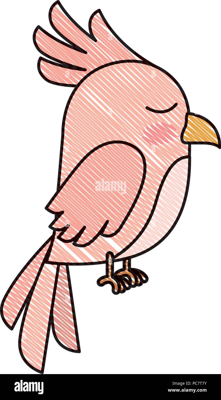 cute bird isolated icon Stock Vector Image & Art - Alamy