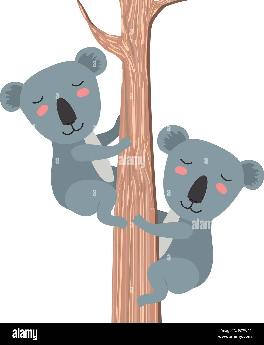 wild koalas couple in tree Stock Vector Image & Art - Alamy