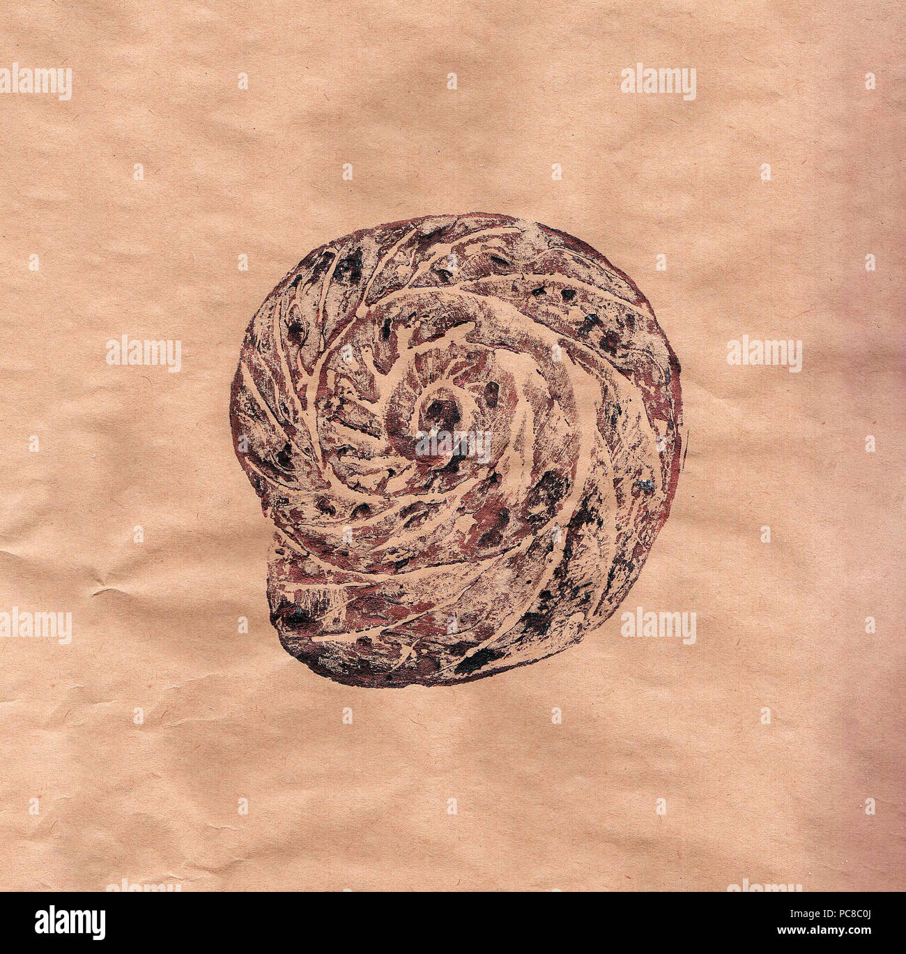 Imprint of the shell on kraft paper, engraving Stock Photo Alamy
